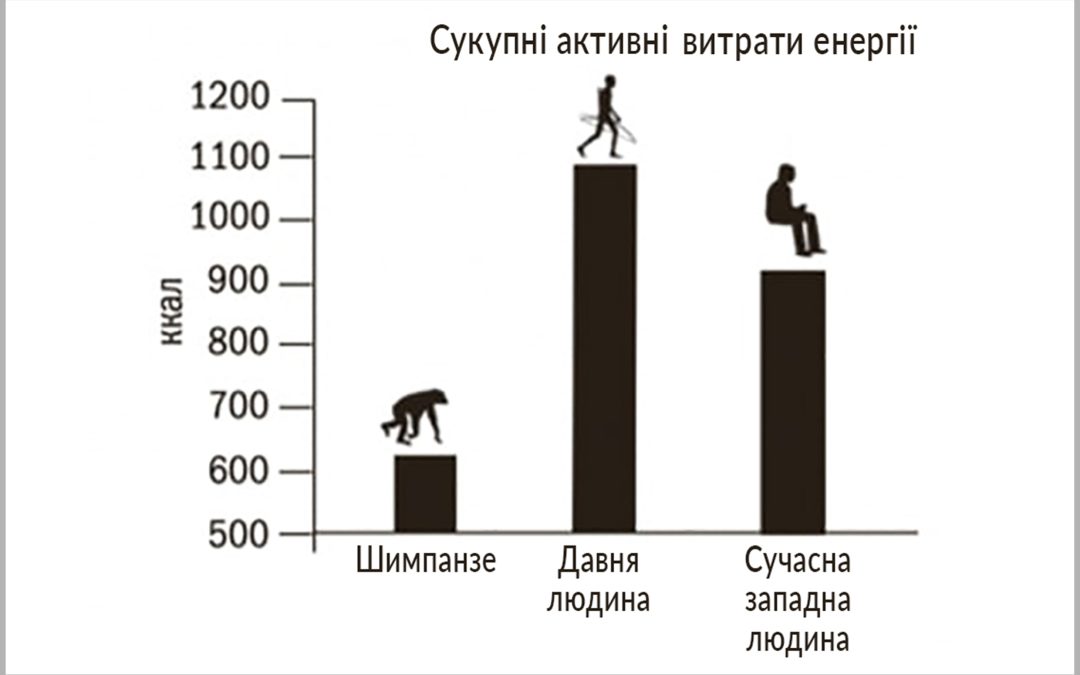 Енергетичні витрати